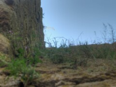 Visby Gotland Sweden Visby Gotland Sweden