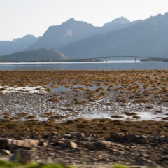 Lofoten Nordland Norway