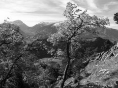 this picture was taken on Guscha Graubünden Switzerland. this picture was taken on Guscha Graubünden Switzerland.